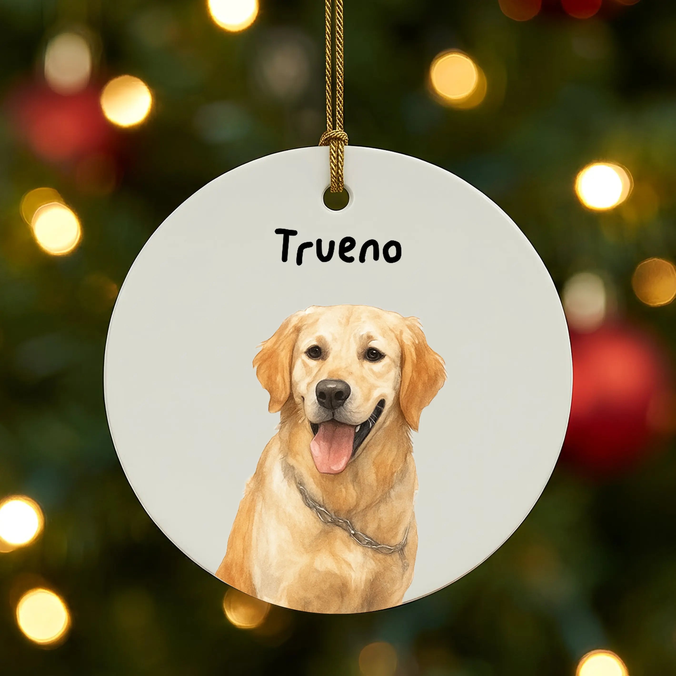 Adorno navideño personalizado de mascotas con retrato ilustrado