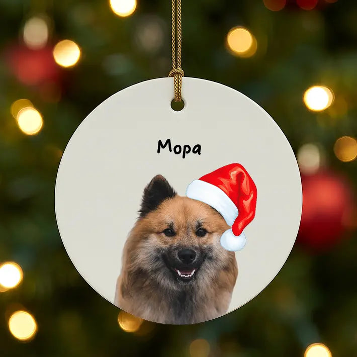 Adorno navideño personalizado de mascotas con gorro